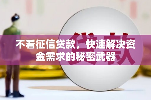 康马不看征信贷款，快速解决资金需求的秘密武器