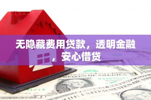 康马无隐藏费用贷款，透明金融，安心借贷