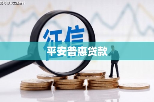 康马平安普惠贷款