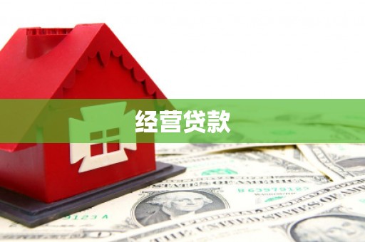 康马经营贷款