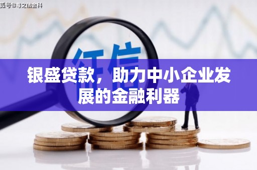 康马银盛贷款，助力中小企业发展的金融利器