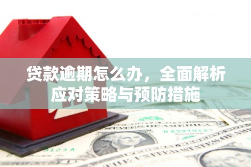 康马贷款逾期怎么办，全面解析应对策略与预防措施
