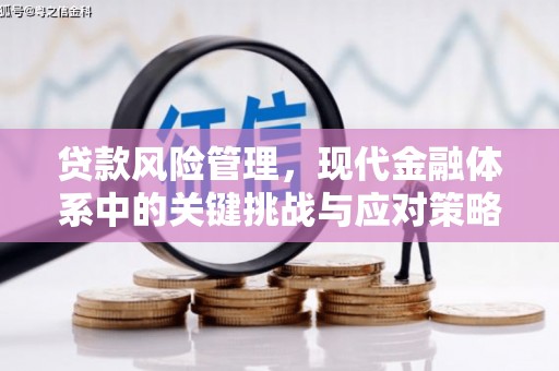 康马贷款风险管理，现代金融体系中的关键挑战与应对策略