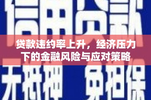 康马贷款违约率上升，经济压力下的金融风险与应对策略