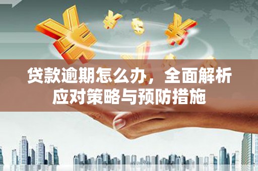 康马贷款逾期怎么办，全面解析应对策略与预防措施