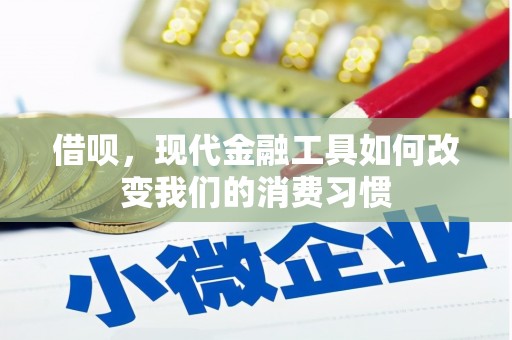 康马借呗，现代金融工具如何改变我们的消费习惯