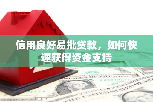康马信用良好易批贷款，如何快速获得资金支持