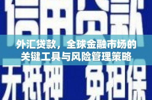 康马外汇贷款，全球金融市场的关键工具与风险管理策略