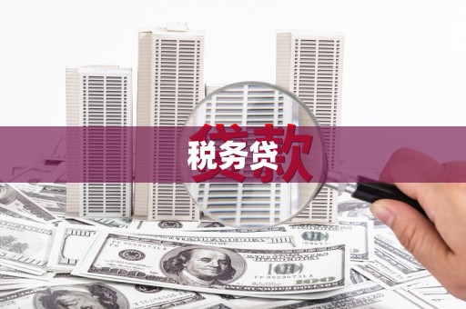 康马税务贷