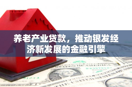 康马养老产业贷款，推动银发经济新发展的金融引擎