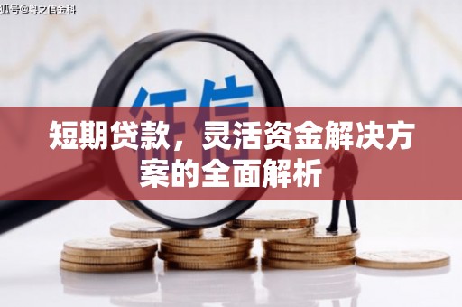 康马短期贷款，灵活资金解决方案的全面解析