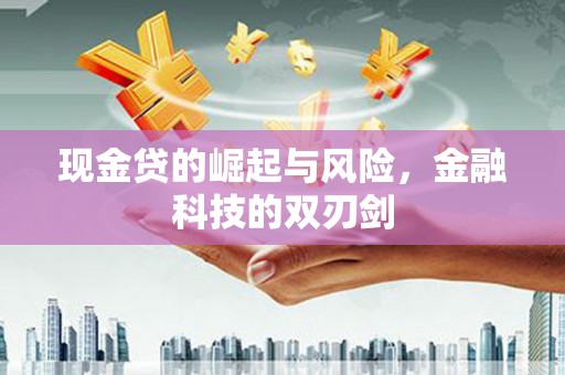 康马现金贷的崛起与风险，金融科技的双刃剑