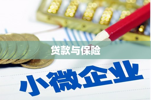康马贷款与保险