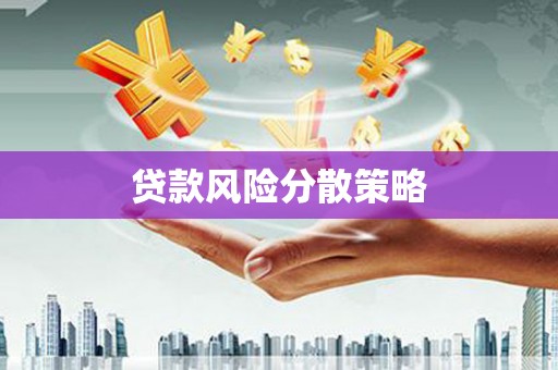 康马贷款风险分散策略