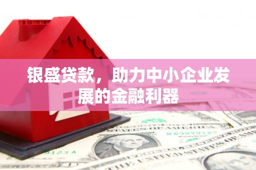康马银盛贷款，助力中小企业发展的金融利器