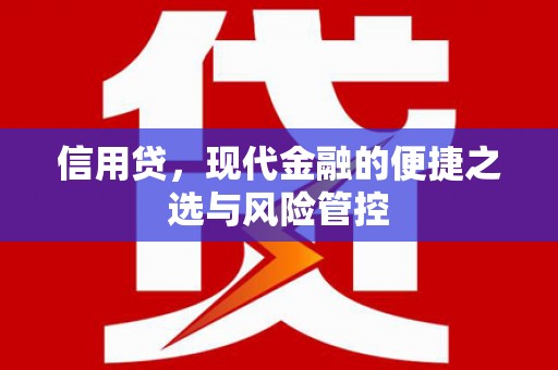 康马信用贷，现代金融的便捷之选与风险管控