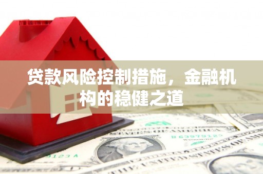 康马贷款风险控制措施，金融机构的稳健之道