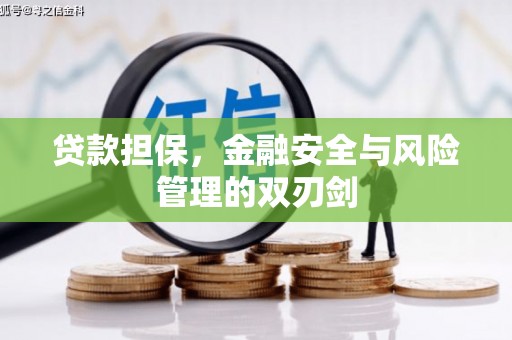康马贷款担保，金融安全与风险管理的双刃剑