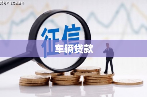 康马车辆贷款