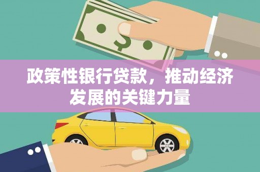 康马政策性银行贷款，推动经济发展的关键力量