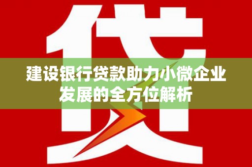 康马建设银行贷款助力小微企业发展的全方位解析