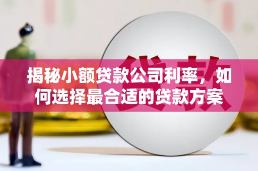 康马揭秘小额贷款公司利率，如何选择最合适的贷款方案