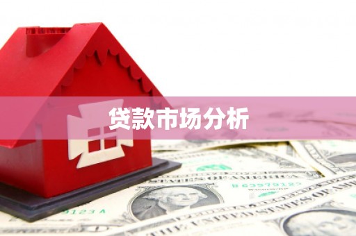 康马贷款市场分析