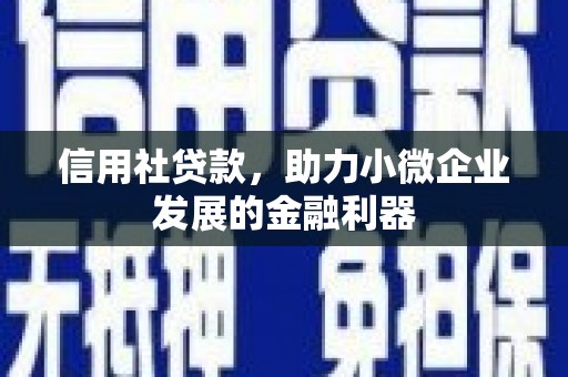 康马信用社贷款，助力小微企业发展的金融利器