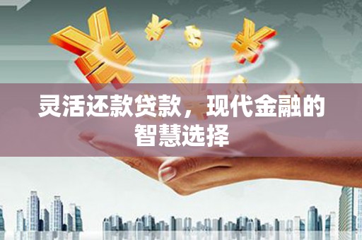 康马灵活还款贷款，现代金融的智慧选择