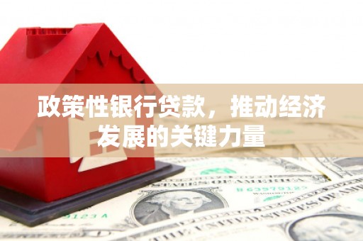 康马政策性银行贷款，推动经济发展的关键力量