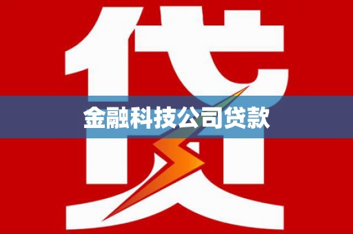 康马金融科技公司贷款