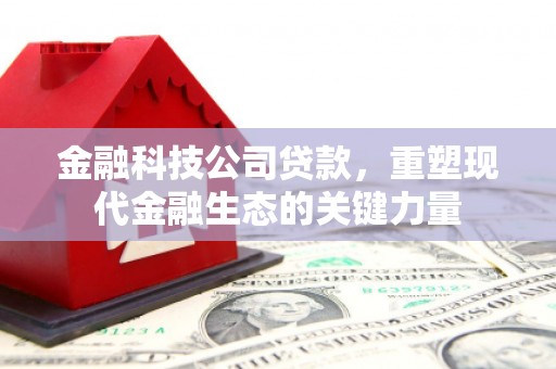 康马金融科技公司贷款，重塑现代金融生态的关键力量