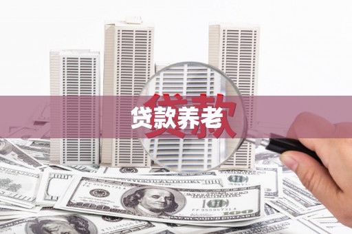 康马贷款养老