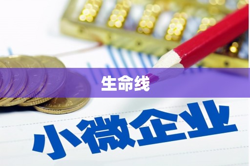 康马生命线