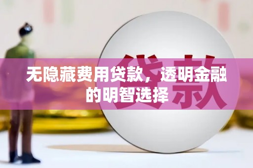 康马无隐藏费用贷款，透明金融的明智选择
