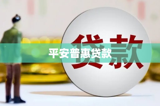 康马平安普惠贷款