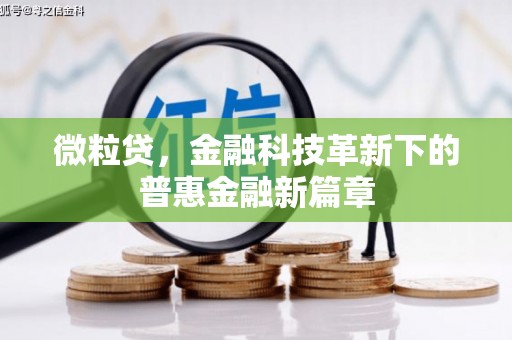 康马微粒贷，金融科技革新下的普惠金融新篇章