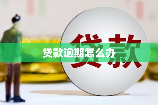 康马贷款逾期怎么办