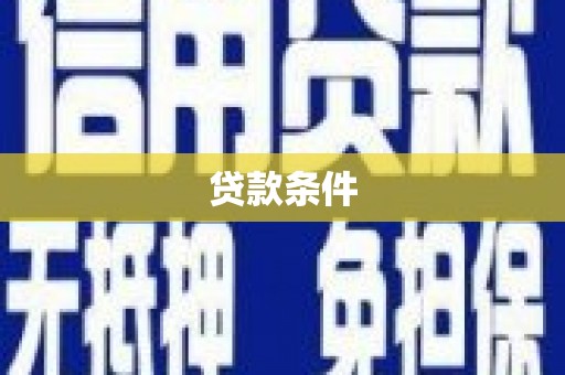 康马贷款条件