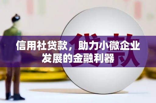 康马信用社贷款，助力小微企业发展的金融利器