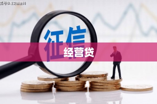 康马经营贷