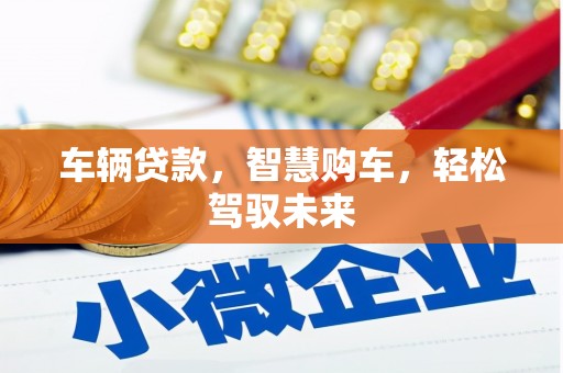 康马车辆贷款，智慧购车，轻松驾驭未来