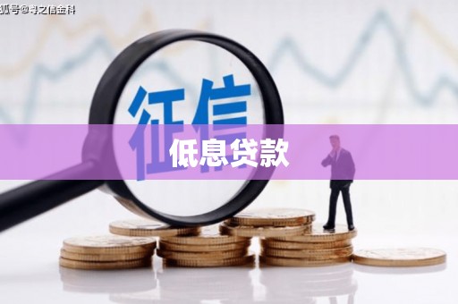 康马低息贷款