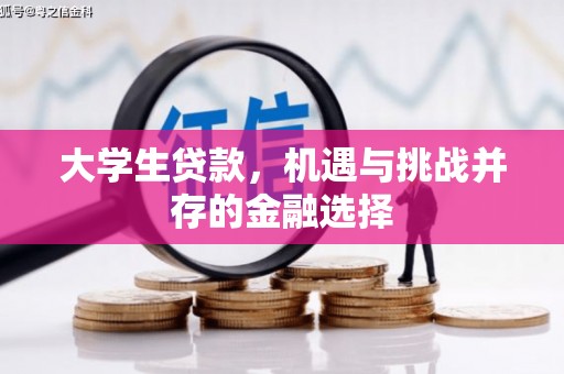 康马大学生贷款，机遇与挑战并存的金融选择