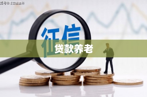 康马贷款养老