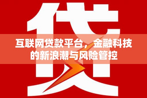 康马互联网贷款平台，金融科技的新浪潮与风险管控