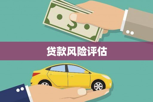 康马贷款风险评估
