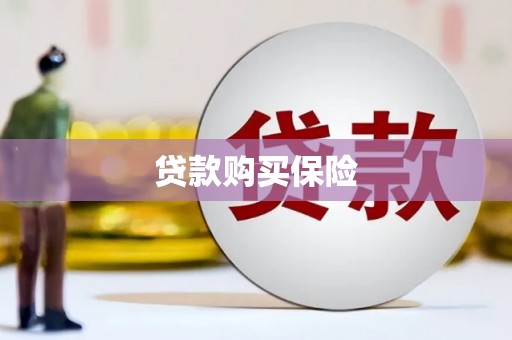 康马贷款购买保险