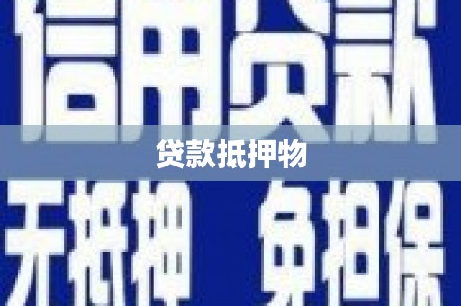 康马贷款抵押物