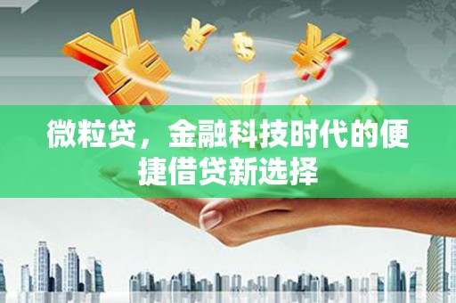 康马微粒贷，金融科技时代的便捷借贷新选择